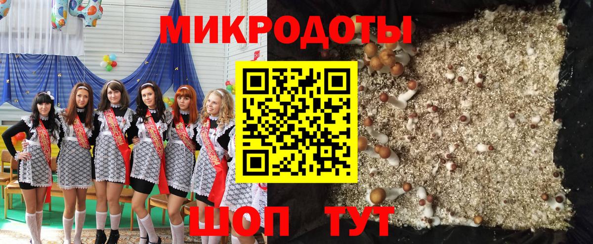 Псилоцибиновые грибы Magic Shrooms  Галлюциногенные грибы прущие грибы  Каменка  Вход с VPN 